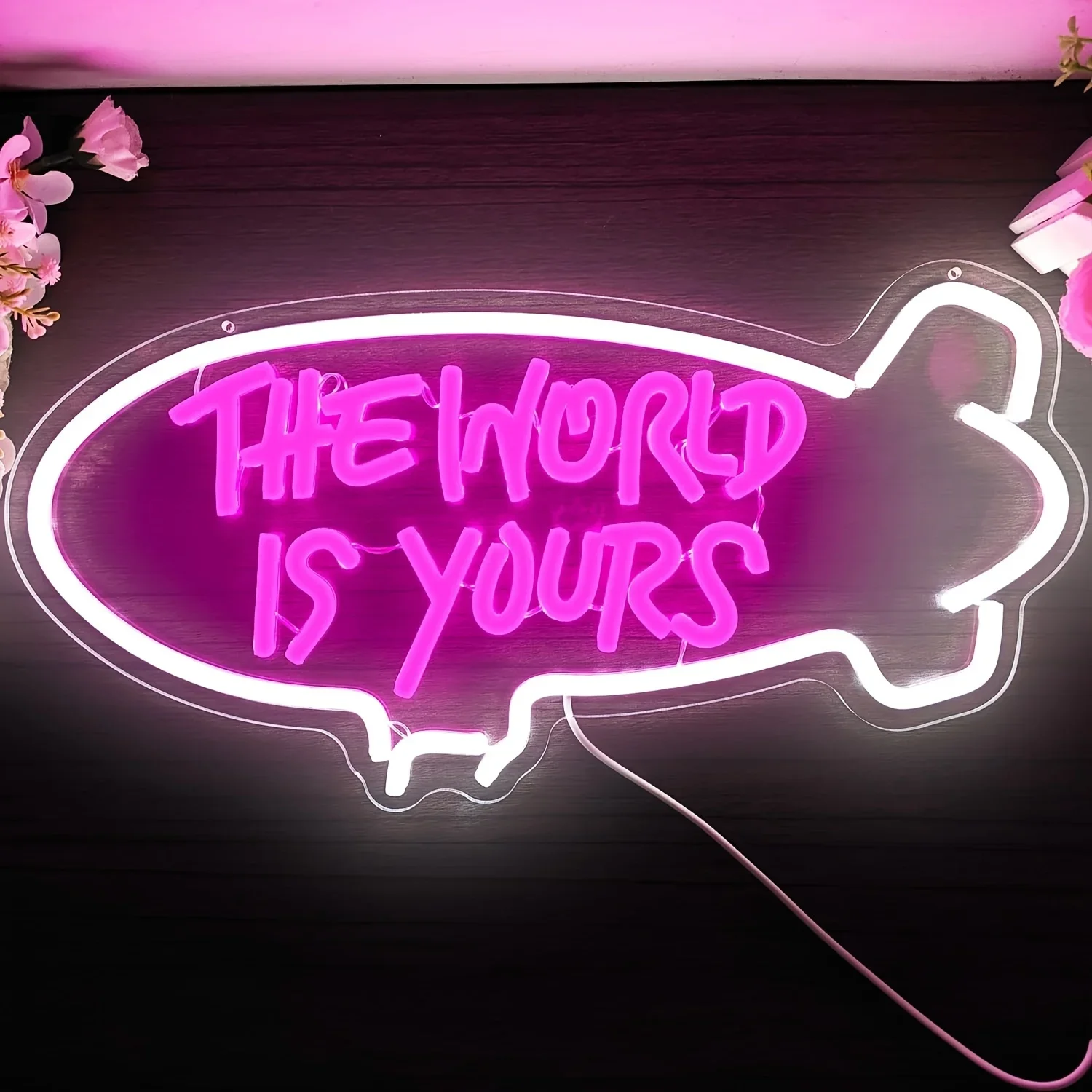 The World Is Yours Blimp Neon  - Outdoor Lighting For Your Home recension och pris